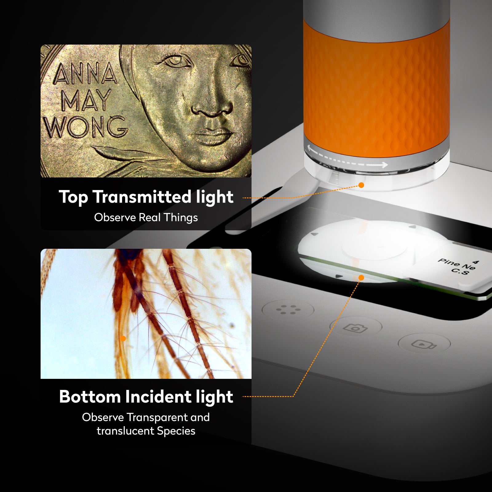 Matatastudio MX2-AS Digital Microscope